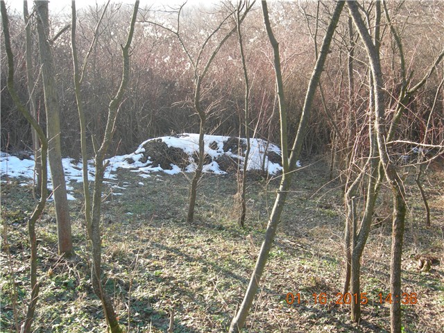 arčilend